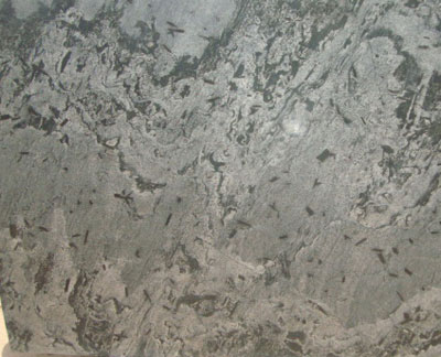 Black Spakal Type